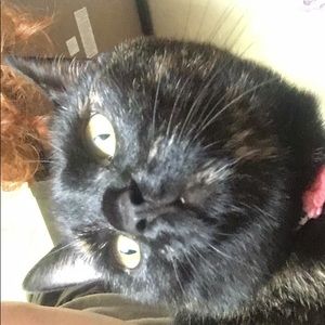 Meet your Posher, Fiona